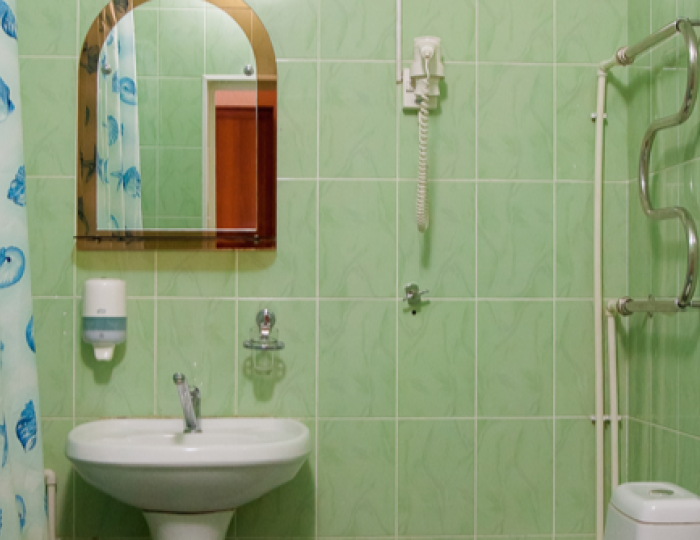 Джуниор сюит 2-местный высшей категории - Санаторий «Кедровый бор» Подъяково