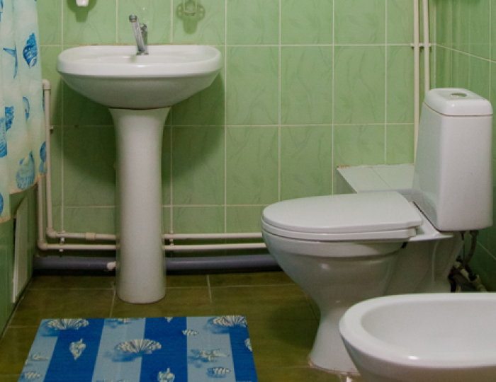 Джуниор сюит 2-местный высшей категории - Санаторий «Кедровый бор» Подъяково