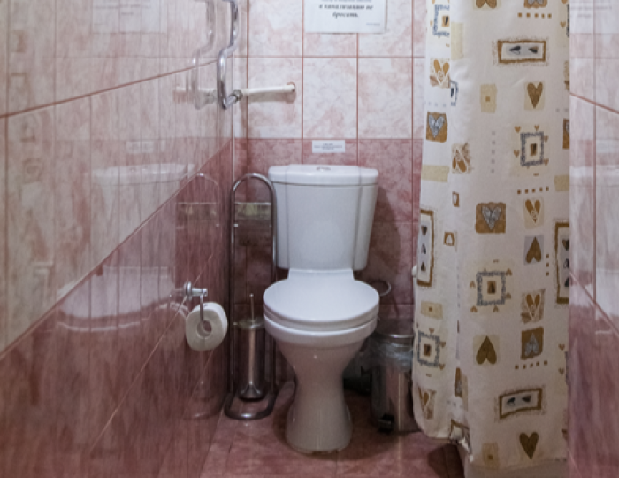 Люкс 2-местный 2-комнатный высшей категории - Санаторий «Кедровый бор» Подъяково